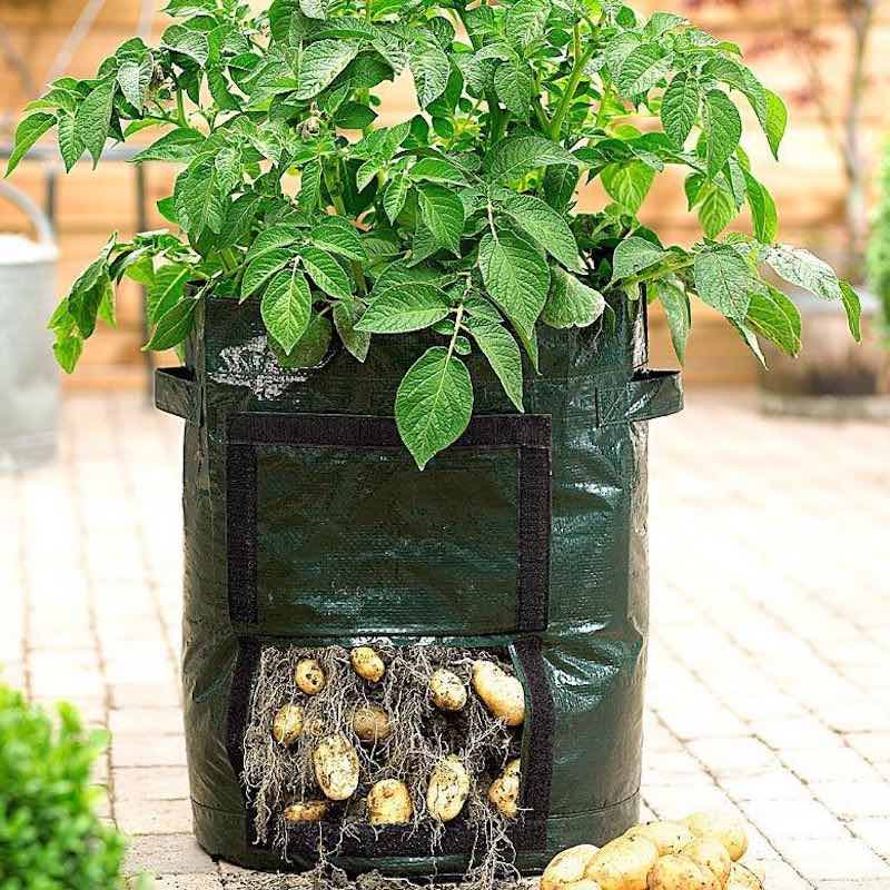 Portabel odlingslåda - Plant Grow Bag